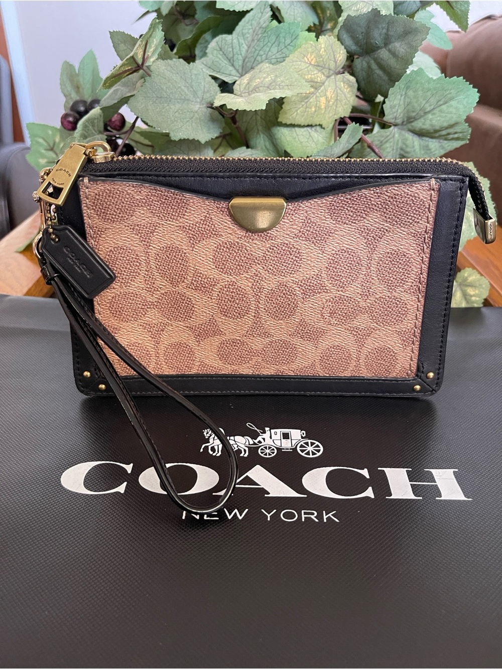 Coach Signature Canvas Dreamer Wristlet